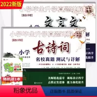 文言文+古诗词 小学升初中 [正版]小学毕业升学真题详解文言文古诗词小学生3-6六年级适用名校真题测试与详解全国版小升初