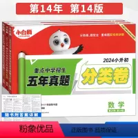 语数英套装 小学升初中 [正版]2024小白鸥星空小升初分类卷语文数学英语小学专项训练分班考试卷六年级小升初总复习分类卷