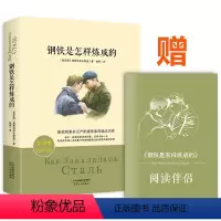 [正版]钢铁是怎样炼成的 全译本 名家名译 无删减版 经典文学名著原著精髓 罗曼罗兰学校老师初中小学生青少版课外书籍世