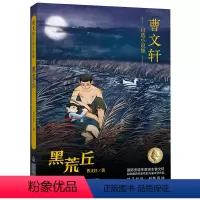 曹文轩自选小说集·黑荒丘 [正版]曹文轩自选小说集全5册远去的太阳/树鱼/黑荒丘/亮月子青羊村小学生三四年级课外阅读书籍