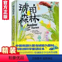 [正版]琥珀森林 精装硬皮陈睿6-12岁儿童科普百科小学生课外阅读书籍精美插图以昆虫琥珀为题原创科学童话绘本少儿科普读