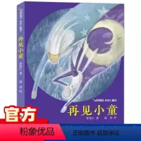 [正版] 再见小童 彩虹桥童话林世仁著小学生3-4年级课外书 三四年级2022儿童文学老师阅读书目 福建少年儿童出版社