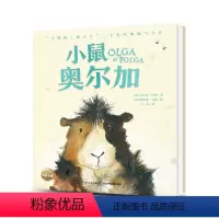 [正版]3件8.5折小鼠奥尔加 小熊帕丁顿系列姊妹篇 精装 儿童036岁幼儿园宝宝早教幼儿启海豚绘本花园海豚传媒
