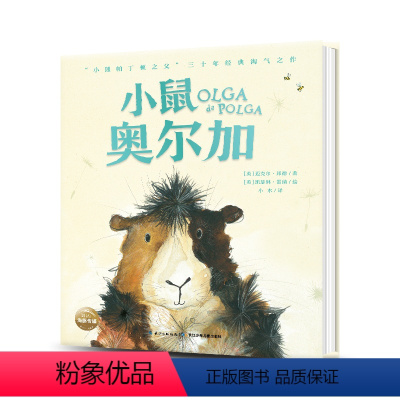 [正版]3件8.5折小鼠奥尔加 小熊帕丁顿系列姊妹篇 精装 儿童036岁幼儿园宝宝早教幼儿启海豚绘本花园海豚传媒