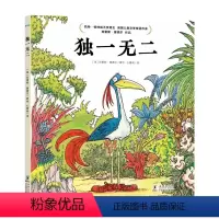 独一无二 [正版] 海豚绘本3-6岁 英国儿童文学桂冠作家 凯特·格林纳威大奖 克里斯·里德尔