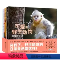 可爱的野生动物:全5册 [正版]可爱的动物:全5册平装 超清摄影图趣味故事科普知识真实动物生活场景3-6岁儿童幼儿园启蒙