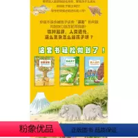 [官方正版]在爆笑中讲透人类进化,[全3册]直击底价-孩子看的津津有味 [正版]海豚童书有趣的人类简史全3册物种起源与人