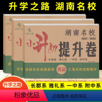 (3册)语数英(英语无听力音频) 小学升初中 [正版]2023新版湖南名校小升初提升卷数学语文英语套装 湖南四大名校小学