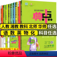 数学下册人教版 九年级/初中三年级 [正版]2024版典中点七八九年级上册下册数学人教版华师湘教版教科北师沪科版语文英语