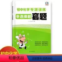 化学 初中通用 [正版]初中化学专项训练非选择题套题通用版 初中必刷题库9九年级中考化学专题分类训练习题集填空题简答题基