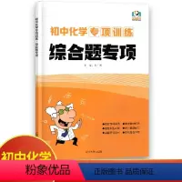 化学综合题专项 初中通用 [正版]初中物理专项训练电学专项力学化学数学代数几何计算题选择题解答题语文病句 初中必刷题库8
