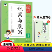 语文 二年级下 [正版]2024春53小学基础练积累与默写二年级下册语文 五三小学学霸天天默写小达人2年级语文天天练习册