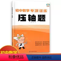 数学 初中通用 [正版]初中数学专项训练压轴题 初中必刷题库9九年级中考数学总复习挑战压轴题集大题突破训练习册重点难点考