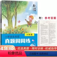 语文 小学四年级 [正版]小学语文阅读真题周周练4年级 新视野海之星小学生四年级语文天天练习册阅读理解课外强化训练学霸小