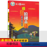 语文 小学二年级 [正版]2024版唯美阶梯品读二年级语文课外阅读理解 世纪英才好阅读小学2年级语文阅读力检测培优训练习