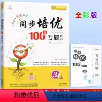 [正版]全脑数学小学数学思维解密同步培优100分专题特训三年级通用版 小学生3年级数学天天练习册必刷题库计算小达人计算