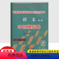 语文冲刺模拟卷 湖南省 [正版]2024新版湖南普通高等学校对口招生考试语文冲刺模拟卷 中职生职高中等职业学校对口升学高
