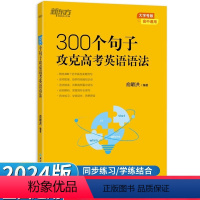 英语 全国通用 [正版]2024版300个句子攻克高考英语语法 全国适用 高一高二高三英语语法全解全练习册高中语法知识大