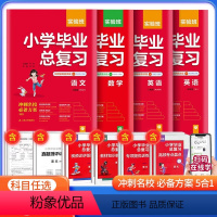 [小学毕业总复习3本] 语数英 小学升初中 [正版]2024版实验班小学毕业总复习语文数学英语 全套 小升初人教版小升初