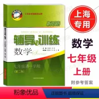 数学 七年级上 [正版]2023 新思路辅导与训练七年级上 数学 7年级上册 第二版 含答案 初中教辅同步练习 上海科学