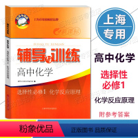 化学 选择性必修1 [正版]2023新思路辅导与训练高中化学选择性必修1化学反应原理 高中化学辅导与训练高三复习上海科学