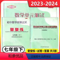 数学堂堂练+单元测试+答案[全3册] 七年级下 [正版]2023-2024初中数学单元测试七年级下册初中数学双基过关堂堂