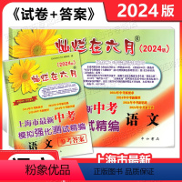 2024中考模拟测试精编 语文 试卷+答案 上海 [正版]2024版灿烂在六月上海市中考模拟强化测试精编 语文+参考答案