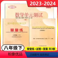 数学堂堂练+单元测试+答案[全3册] 八年级下 [正版]2023-2024 初中数学单元测试八年级下 初中数学双基过关堂