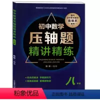 [正版]初中数学压轴题精讲精练 八年级/8年级 含答案 上海教育出版社 初中数学教辅
