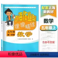 [正版]上海作业帮 课课精练 5年级上册 数学 五年级第一学期 配套上海小学教辅配套单元练习阶段练习整理与提高期中期末