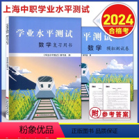 数学 复习用书+模拟卷 共2册 [正版]上海中职 学业水平测试 数学 复习用书+模拟卷 含参考答案 上海三校生中职生学业