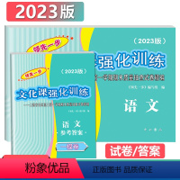 2023一模[语文]试卷+答案 上海高考一模二模卷[任选] [正版]2019-2023上海市领先一步 走向成功 语文数学