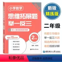 数学 小学二年级 [正版]小学数学思维拓展题举一反三 2年级/二年级 精练版 第二版 小学数学例题引导精选典型练习难题视