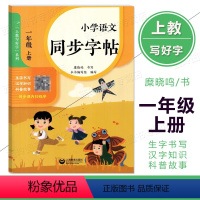 小学语文同步字帖 一年级上 [正版]小学语文同步字帖 1年级上册 一年级第一学期 与上海版五四制语文配套 糜晓鸣书写 上