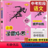 上海学霸中考 语文(精讲版+精练版+参考答案) 上海 [正版]2023 学霸中考 上海中考总复习 语文 精讲版 初三九年