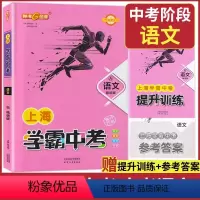 上海学霸中考 语文(精讲版+精练版+参考答案) 上海 [正版]2023 学霸中考 上海中考总复习 语文 精讲版 初三九年