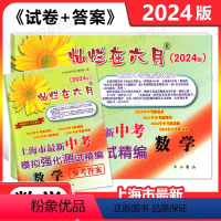 2024中考模拟测试精编 数学 试卷+答案 上海 [正版]2024版 灿烂在六月 上海市新中考模拟强化测试精编 中考数学
