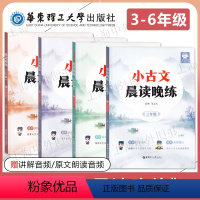 小古文晨读晚练 3-6年级 共4册 [正版]小古文晨读晚练 三四五六年级3-6年级任选 晨读国学经典 培养文言文语感兴趣