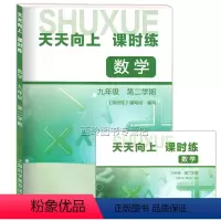 [正版]天天向上课时练 数学 九年级第二学期/9年级下册 含参考答案 初中数学教辅同步练习 上海科学普及出版社