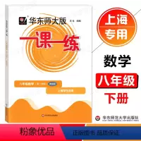 数学(增强版) 八年级下 [正版]2024春 华东师大版 一课一练八年级下册数学增强版 8年级下册/第二学期 上海初中教