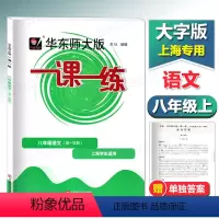 语文 八年级上 [正版]华师东大版一课一练八年级上 语文 8年级上册/八年级第一学期 上海初中教辅同步配套练习课后作业