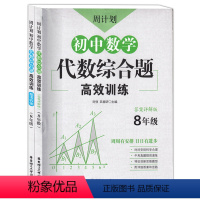 数学 [正版]周计划初中数学代数综合题高效训练八年级 8年级初二数学代数题同步训练真题高效专项训练解题技巧周计划初中思维