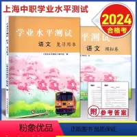 上海中职 语文 复习用书+模拟卷 [正版]上海中职 学业水平测试 语文复习用书+模拟卷 现代文阅读考题古诗文阅读写作作文