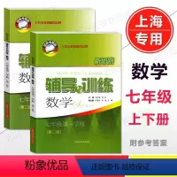 数学《上册+下册》共2本 七年级/初中一年级 [正版]2023 新思路辅导与训练 数学 七年级上下册 7年级上下册 第二