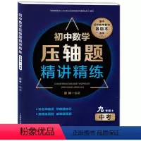 [正版]初中数学压轴题精讲精练 九年级/9年级 中考 含答案 上海教育出版社 初中数学教辅