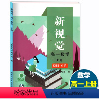 [正版] 新视觉高一数学上册 高中1年级第一学期 上海高中教辅配套同步练习单元期末测试 基础巩固归纳辅导 湖南师范