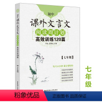 [正版]初中课外文言文阅读周计划高效训练120篇 初一七年级/7年级 精选中考文言文真题和模拟题高分实战演练文言文精译