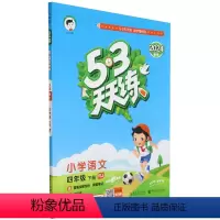 [正版]5·3天天练.小学语文四年级.下册:RJ