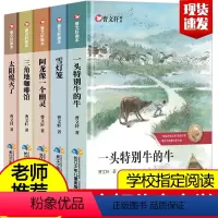 [正版]曹文轩系列儿童文学曹文轩画本全5册一头特别牛的牛三角地咖啡馆雪灯笼纯美小说文集小学生三四五六年级课外阅读书籍必