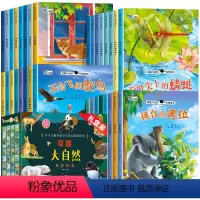 [礼盒装32册]第一辑+第二辑+第三辑+第四辑 [正版]有声伴读一年级阅读课外书必读全套8册 老师儿童绘本故事书1年级课